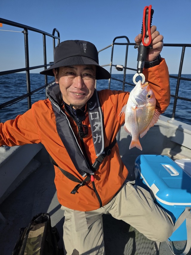 レンコダイ(キダイ)