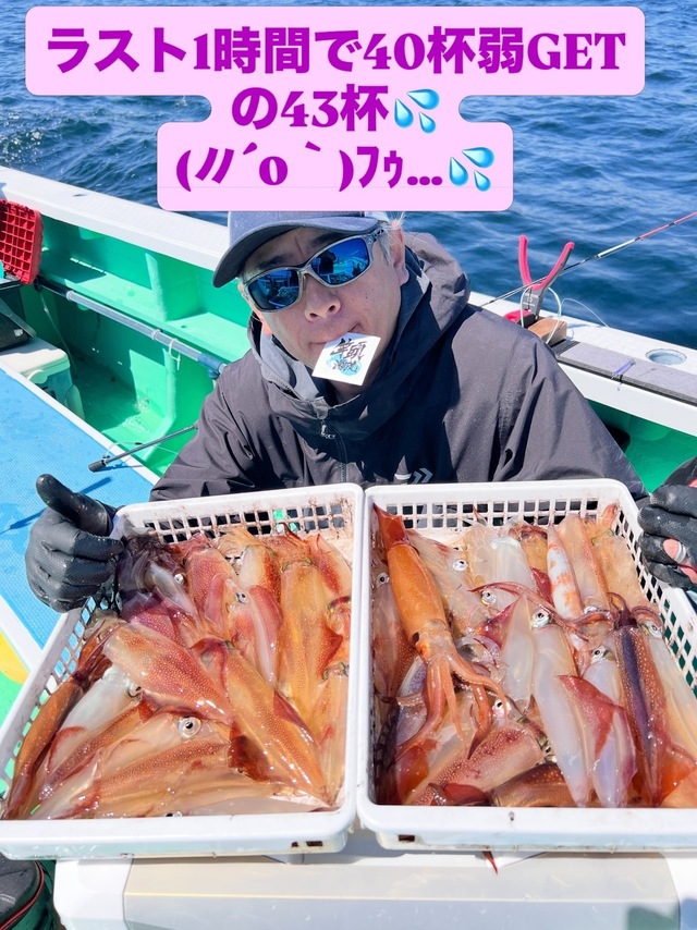 マルイカ(ケンサキイカ)