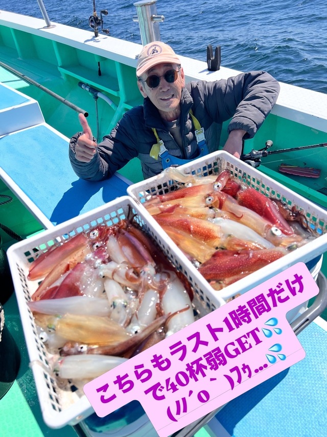 マルイカ(ケンサキイカ)