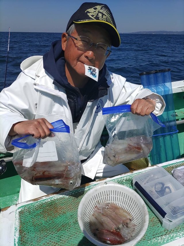 マルイカ(ケンサキイカ)