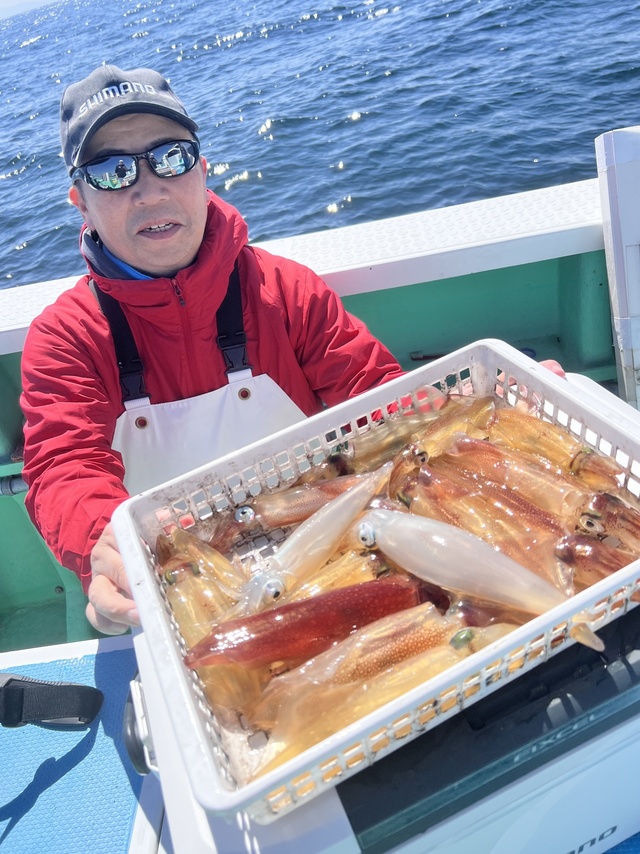 マルイカ(ケンサキイカ)