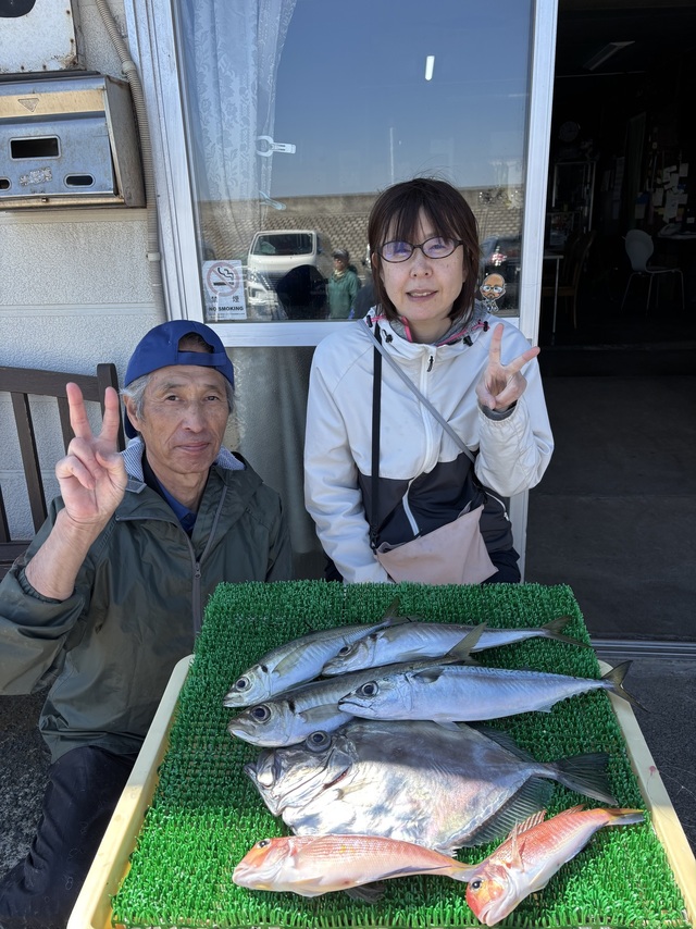 アジ(マアジ)