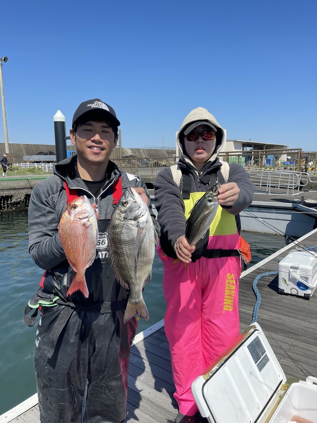 ハナダイ(チダイ)・クロダイ・アジ(マアジ)