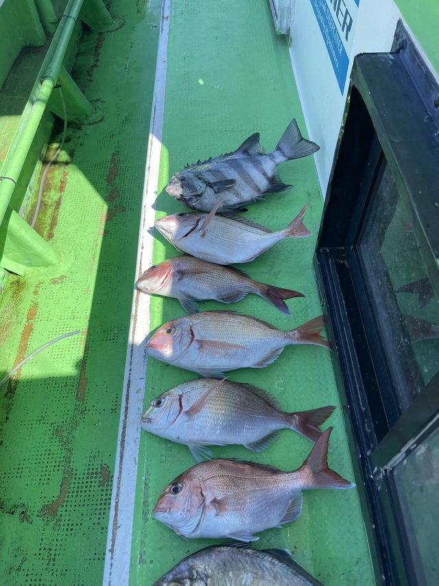 マダイ・ハナダイ(チダイ)・イシダイ