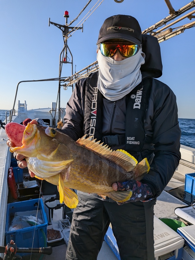 アオナ(アオハタ)