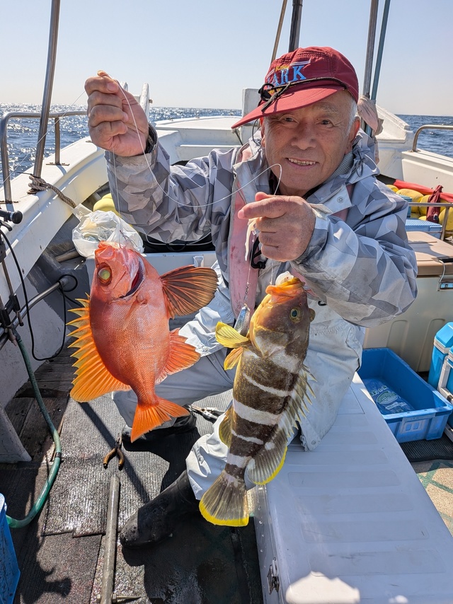 アオナ(アオハタ)・チカメキントキ