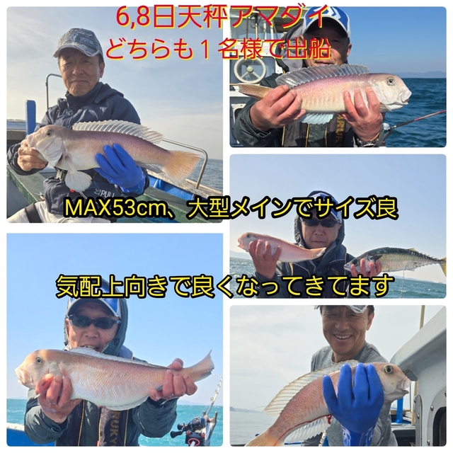 シロアマダイ