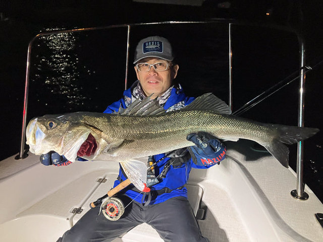 シーバス(スズキ)