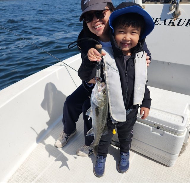 シーバス(スズキ)