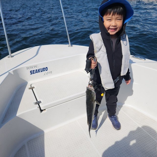 シーバス(スズキ)