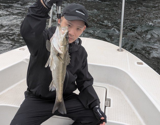 シーバス(スズキ)