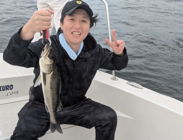 シーバス(スズキ)