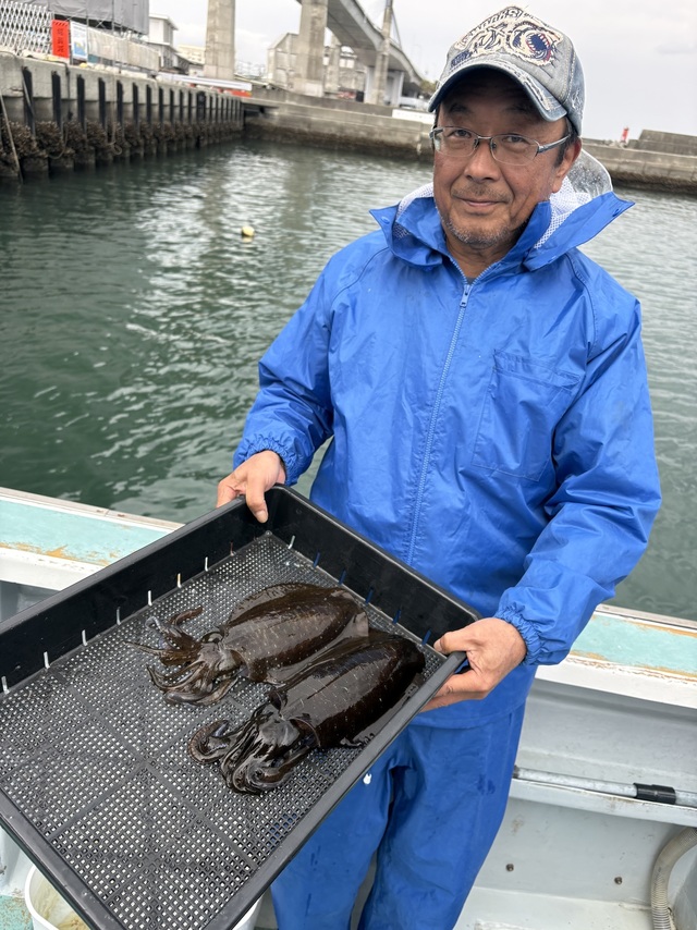 アオリイカ