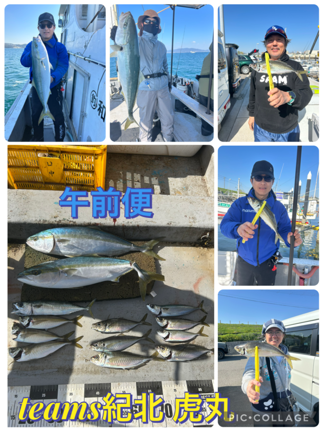 アジ(マアジ)・メジロ(ブリ)・マサバ