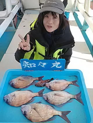 マダイ・カサゴ