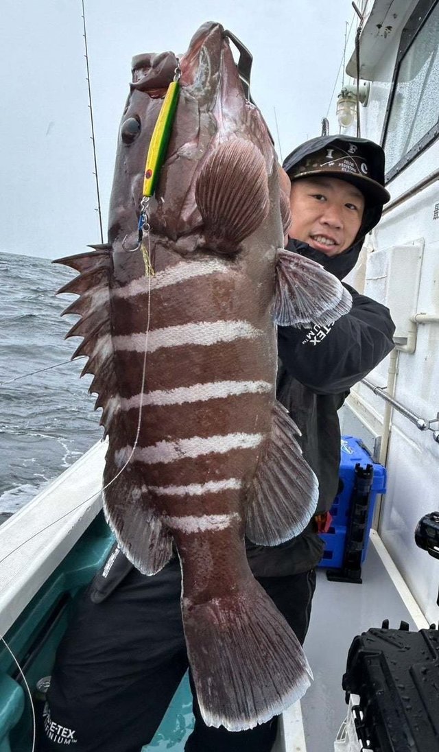 マハタ