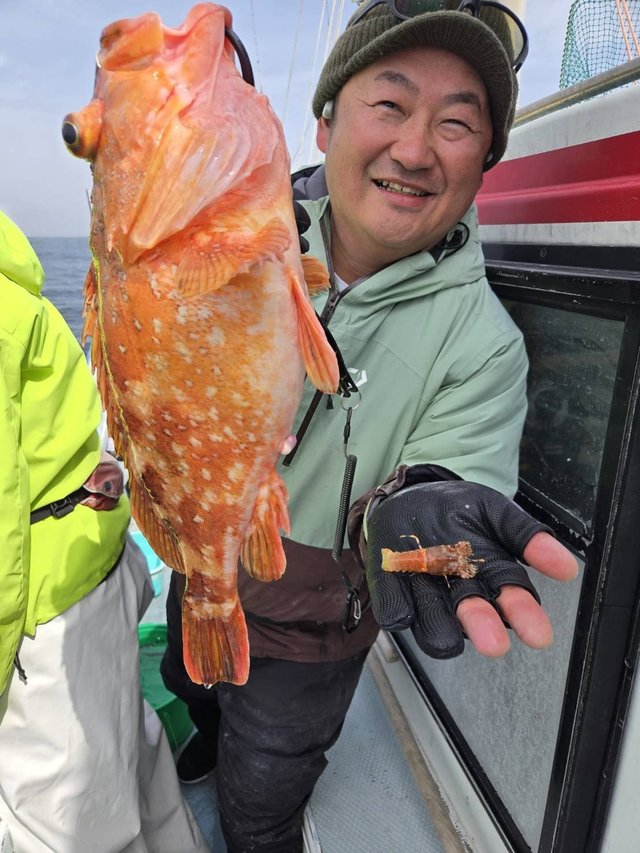 カンコ(ウッカリカサゴ)