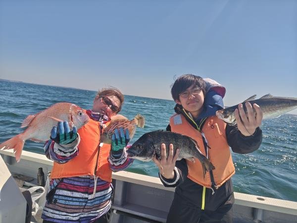 ハナダイ(チダイ)・クロダイ