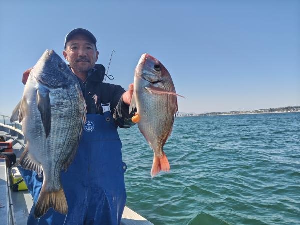 ハナダイ(チダイ)・クロダイ