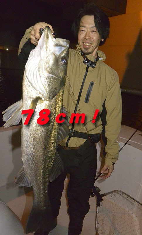 シーバス(スズキ)