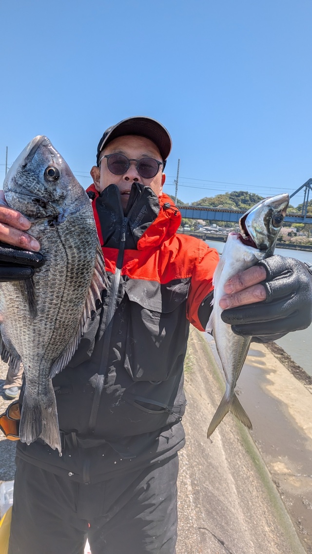 クロダイ・アジ(マアジ)