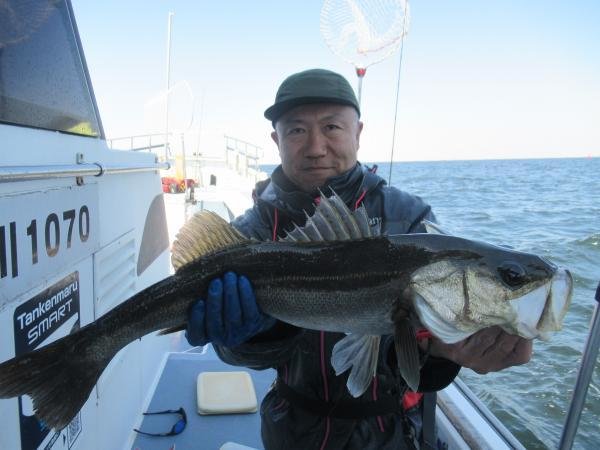 シーバス(スズキ)