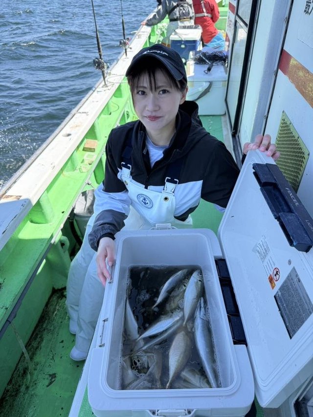 アジ(マアジ)