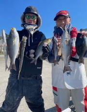 メジナ・アジ(マアジ)・イサキ