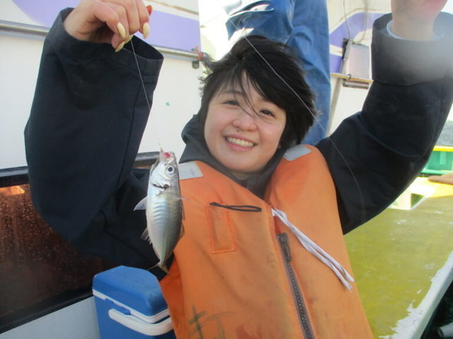 アジ(マアジ)