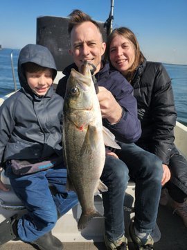 シーバス(スズキ)