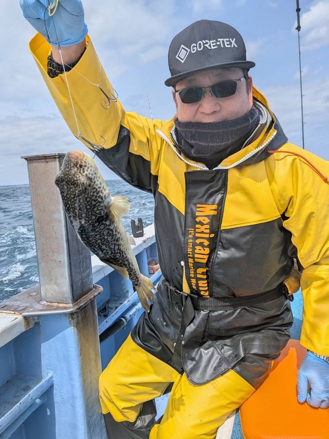 ショウサイフグ