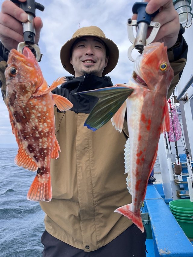 ウッカリカサゴ・ホウボウ