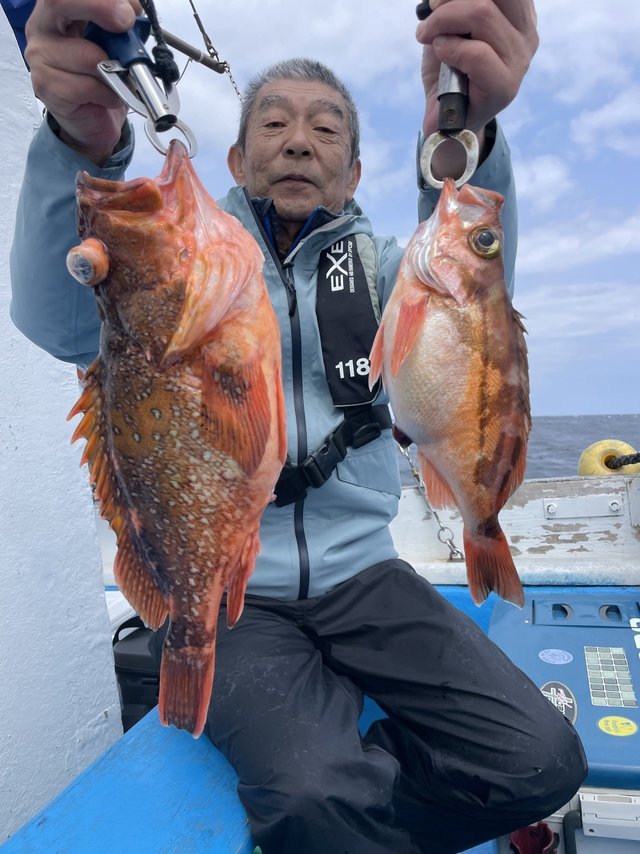 ウッカリカサゴ