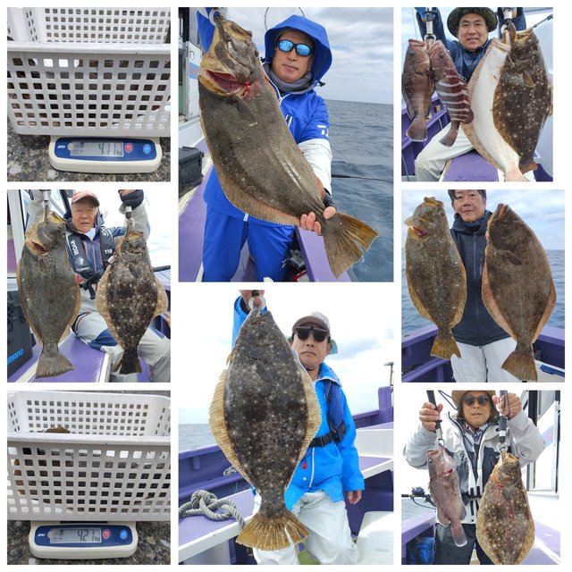 マハタ・ヒラメ