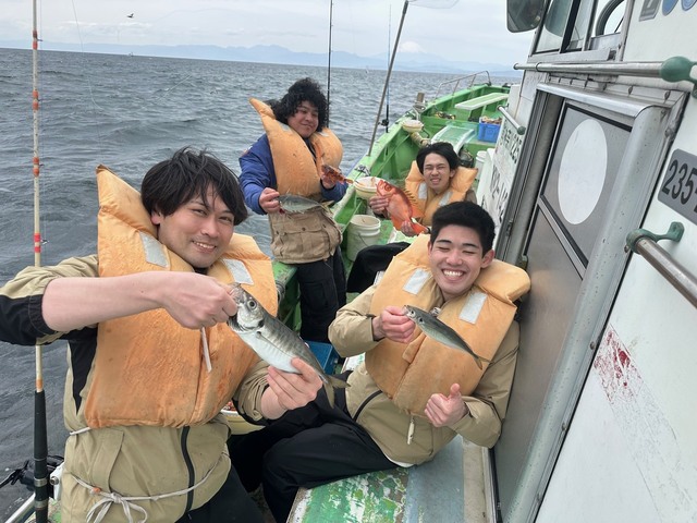 アジ(マアジ)