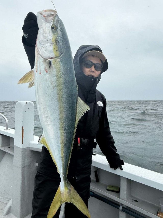 サンパク(ブリ)