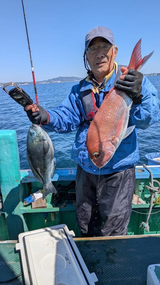 マダイ・メジナ