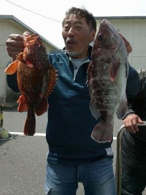 ウッカリカサゴ・ハタ(マハタ)