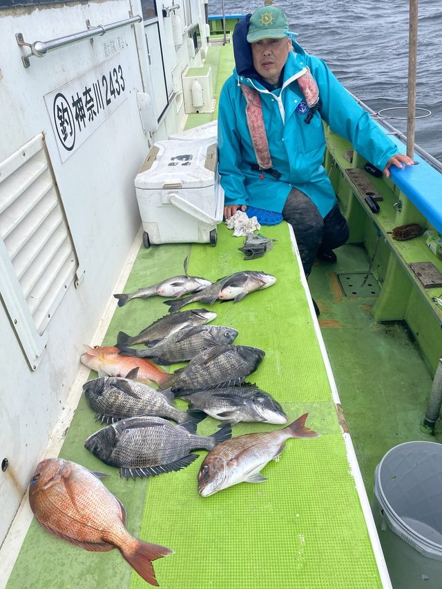 マダイ・クロダイ