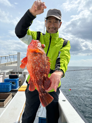 カンコ(ウッカリカサゴ)