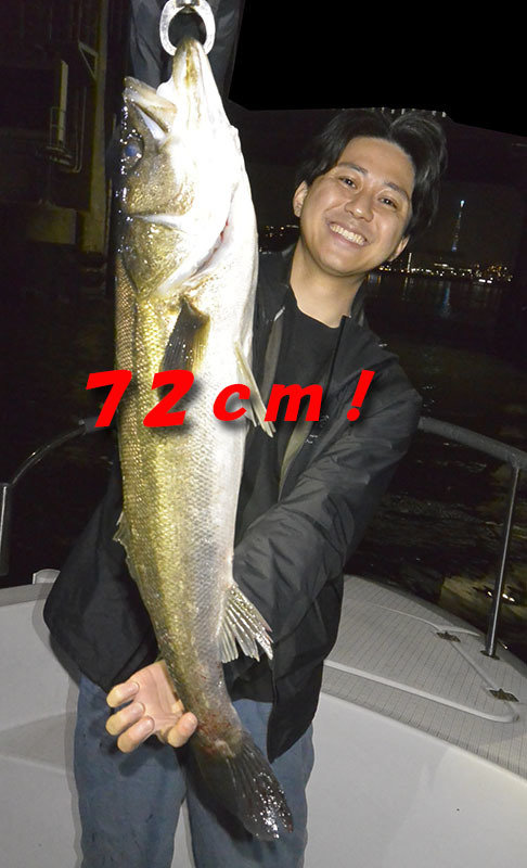 シーバス(スズキ)