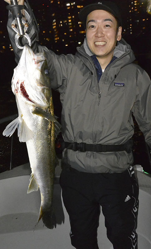 シーバス(スズキ)