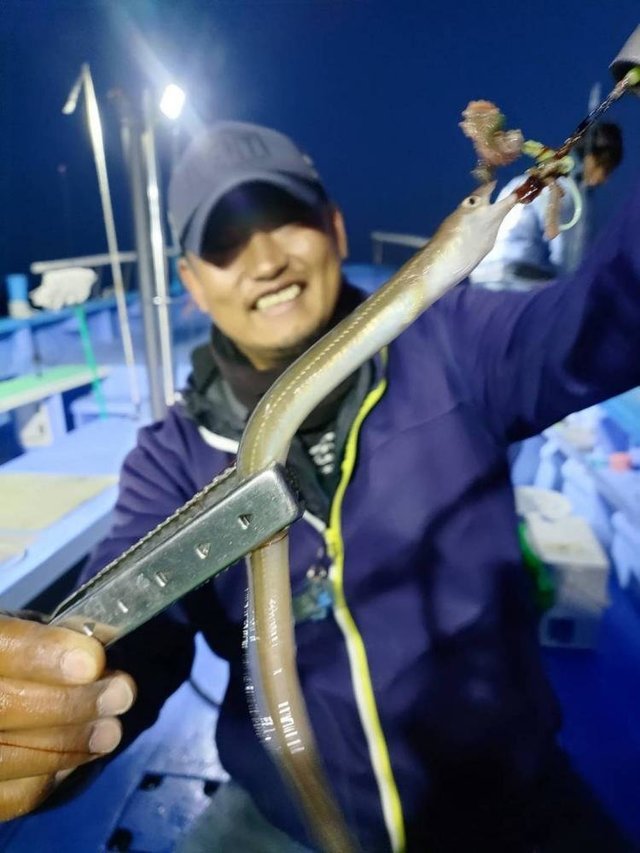 アナゴ(マアナゴ)