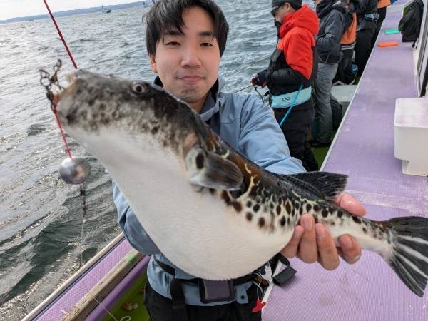 トラフグ