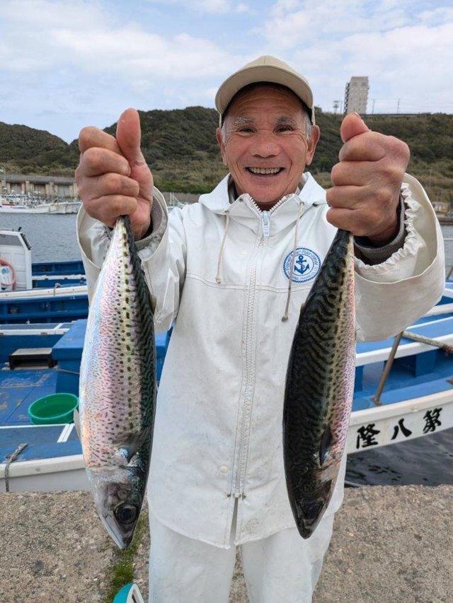 サバ(ゴマサバ)