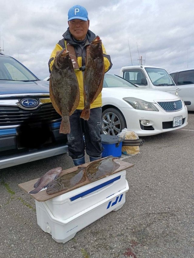 ヒラメ・ハタ(マハタ)