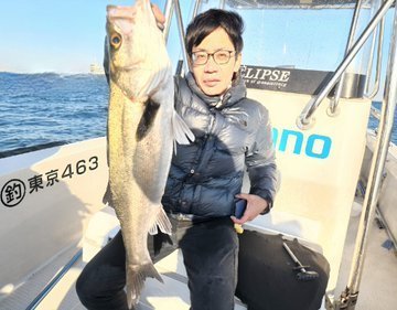 シーバス(スズキ)