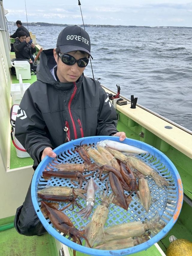 マルイカ(ケンサキイカ)