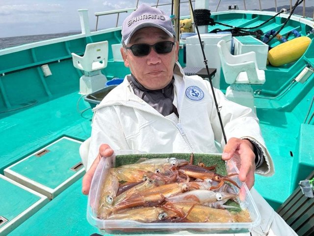 マルイカ(ケンサキイカ)