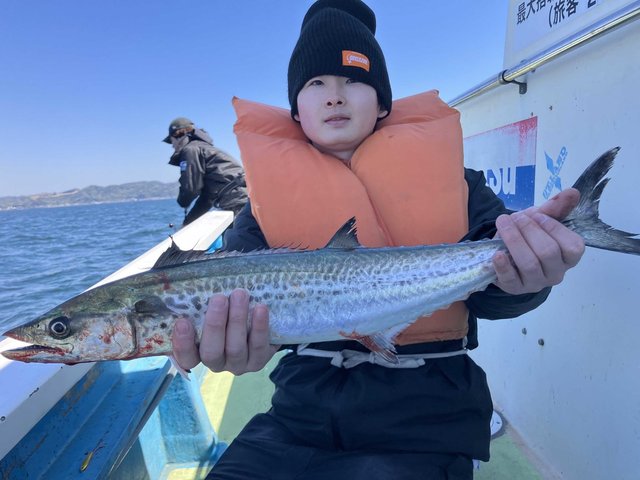 サゴシ(サワラ)